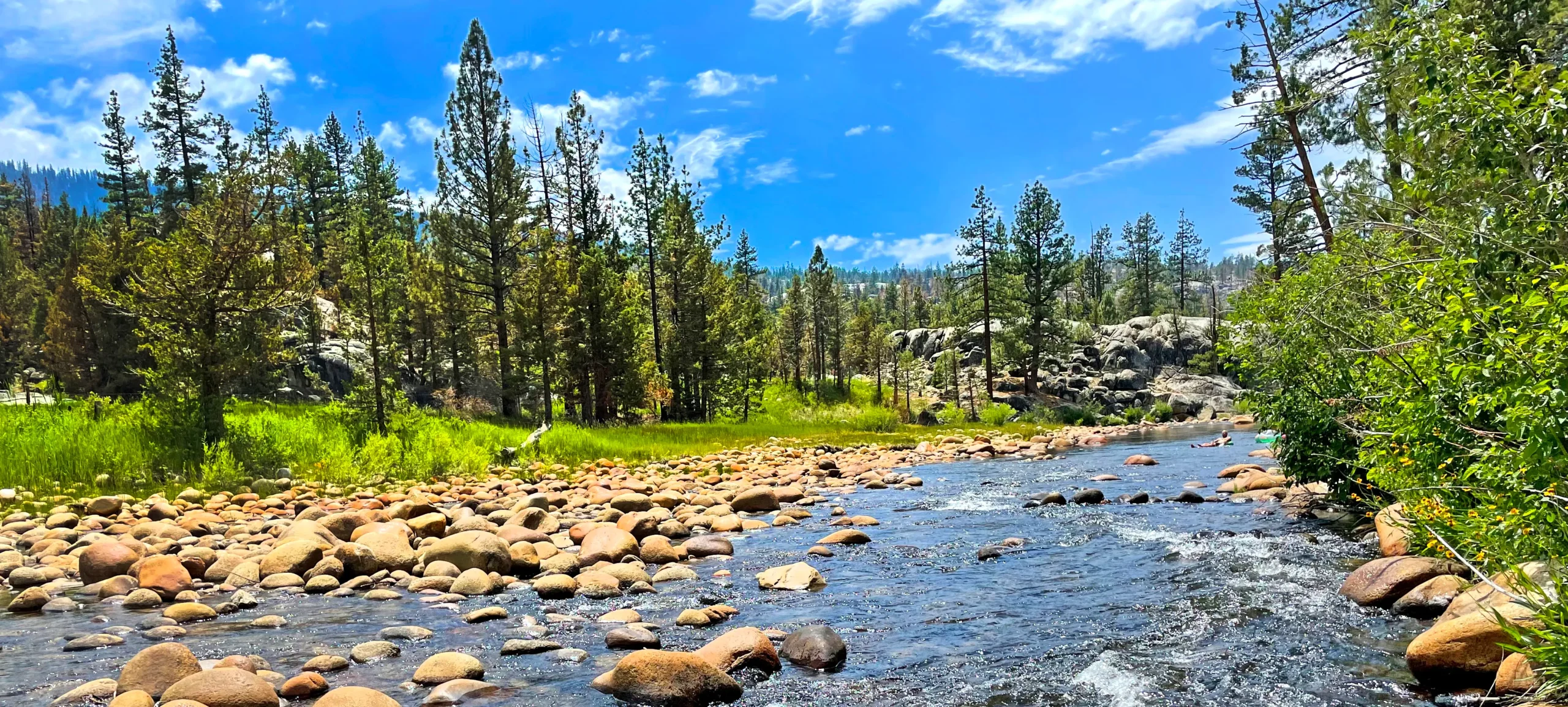 creek in the sierra