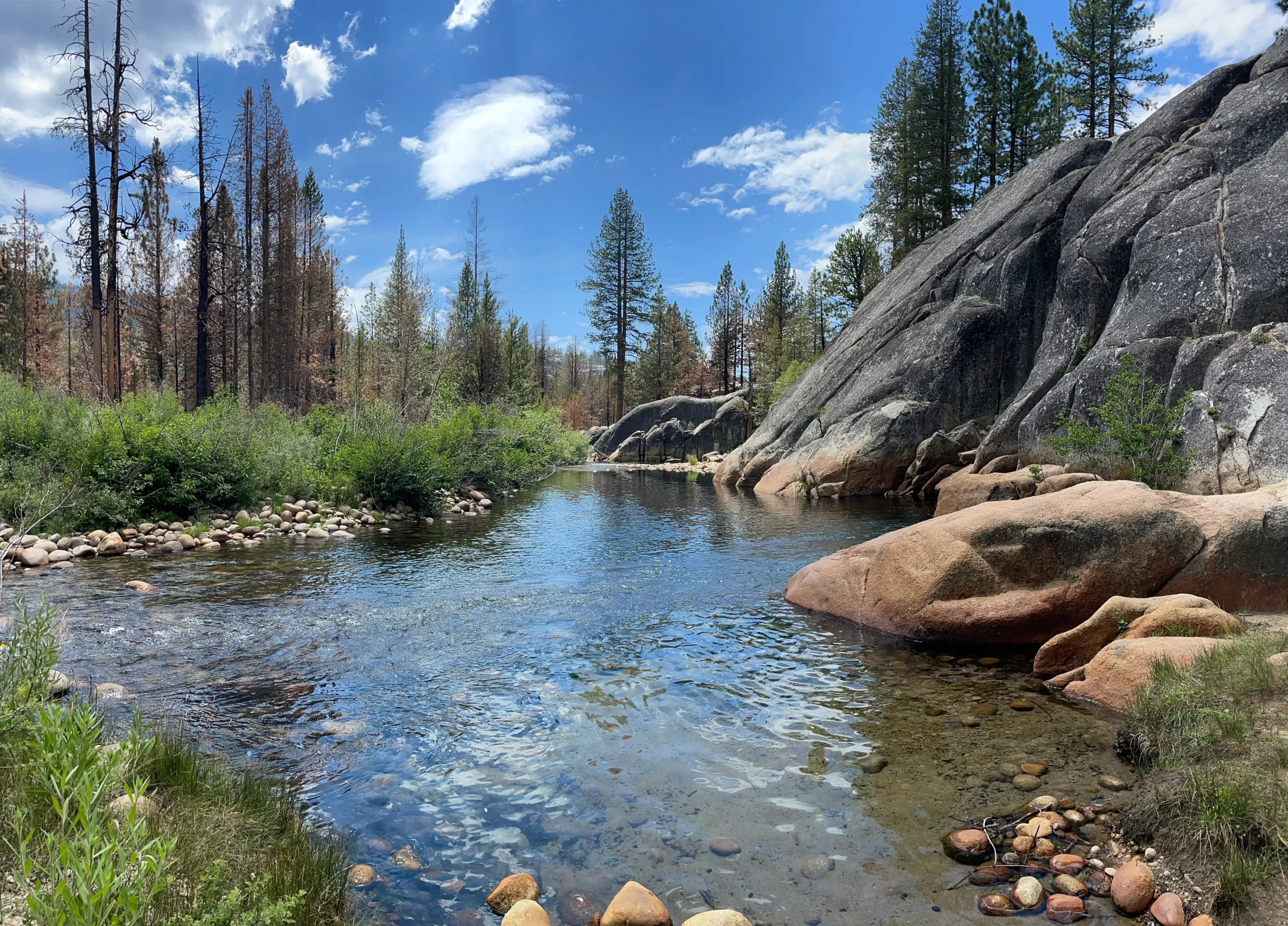 creek water and large rocks in the sierra