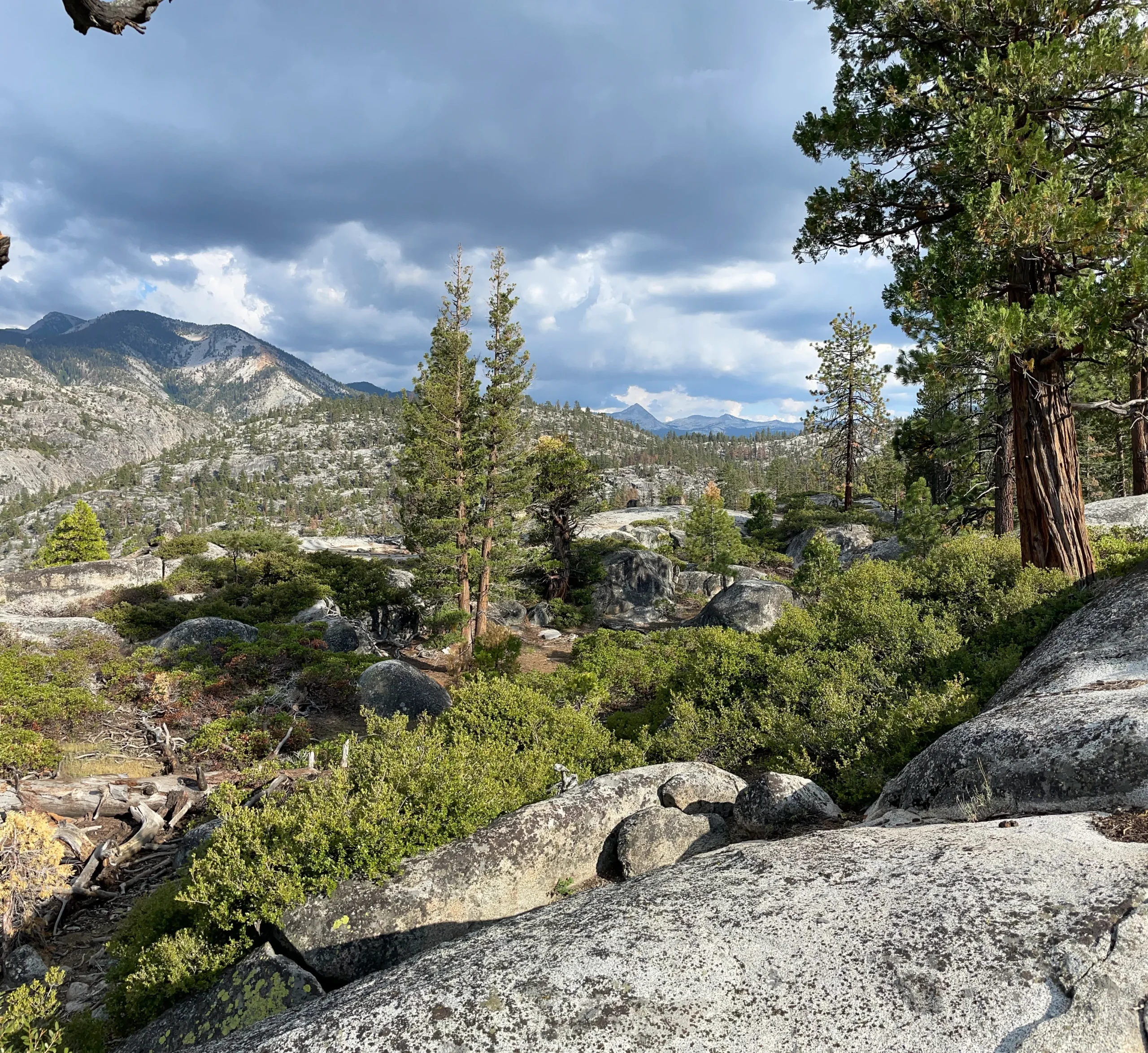 expansive view of the sierra nevada
