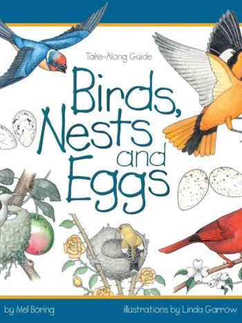 birds, nests and eggs book