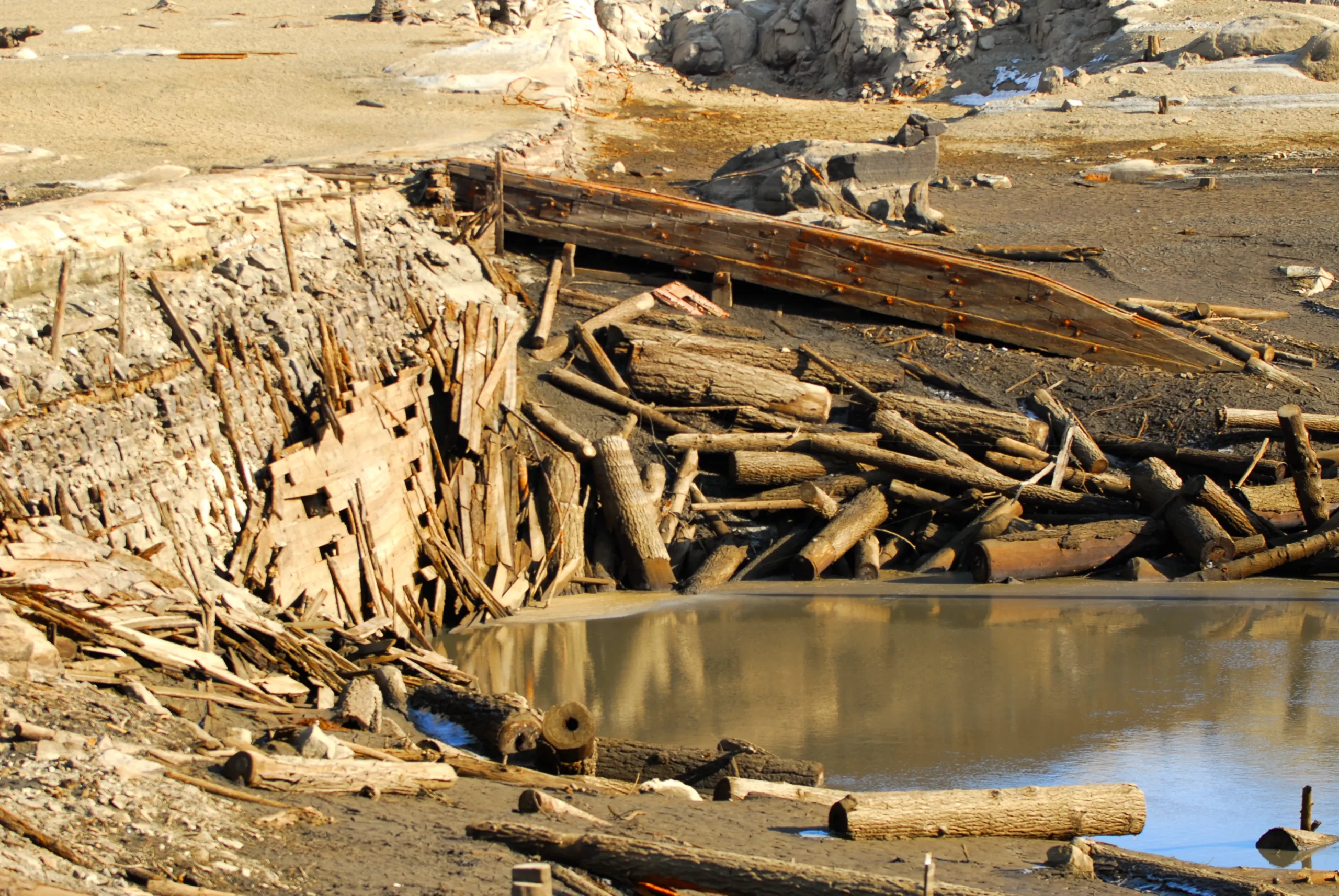 The Story of Sinker Lumber by Jeff Young